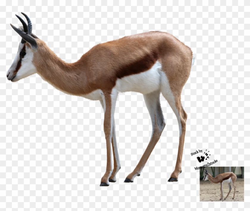 Png Cut Out #921107