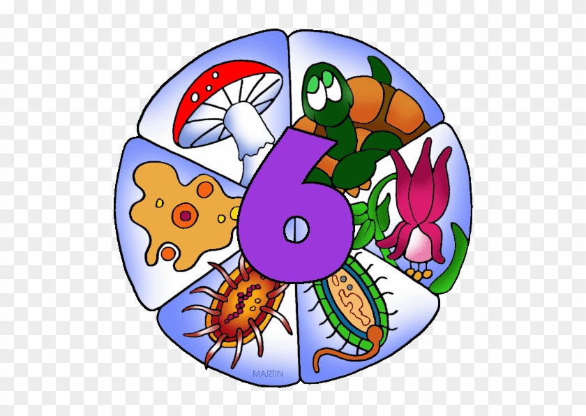 Six Kingdoms - Six Kingdoms Of Life #921601
