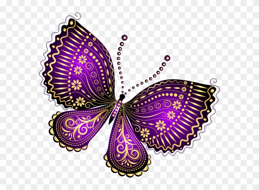 ‿✿⁀butterflies‿✿⁀ - Relaxing Butterfly Patterns: Butterfly Adult Coloring #921943