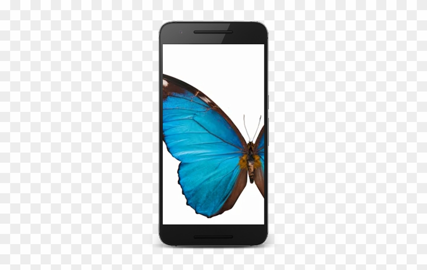 Butterfly 3d Live Wallpaper - Smartphone #922762
