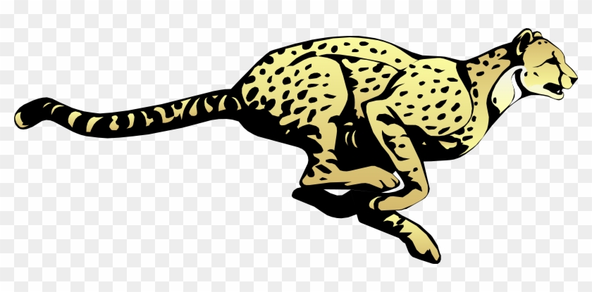 Cheeta Free Vector - Cheetah Transparent #922969