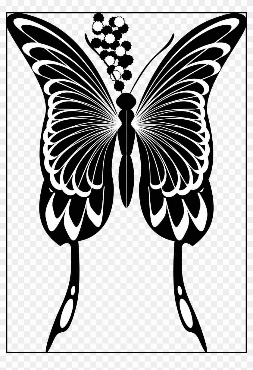 Big Image - Swallowtail Butterfly #923122