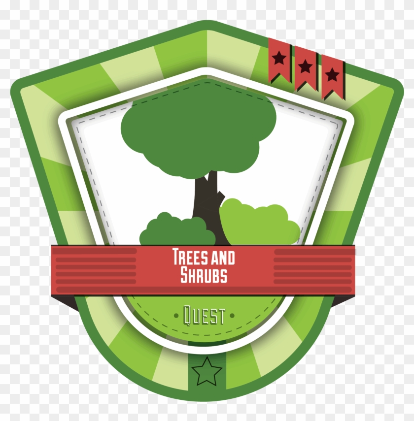 Trees & Shrubs - Label #923911