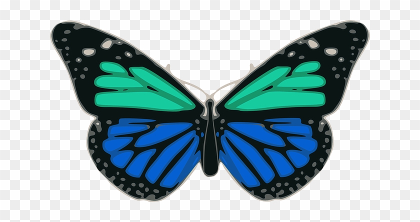 Blue, Butterfly, Turquoise, Colors, Wings, Insect, - Black And Blue Butterfly Shower Curtain #924471
