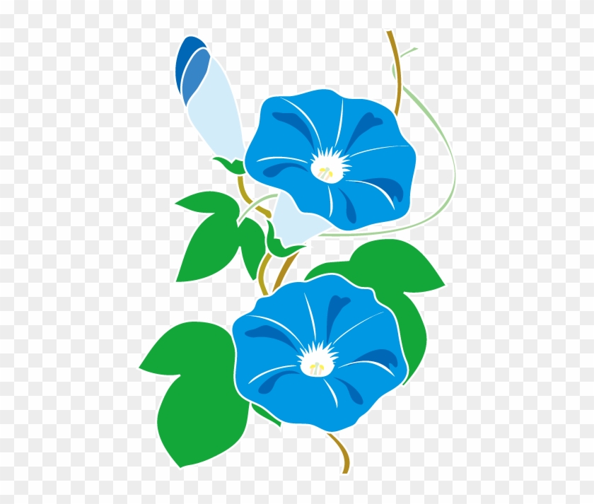 Clip Art - イラスト 朝顔 #924660