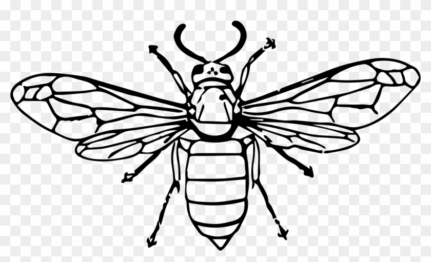 Big Image - Clip Art #924701