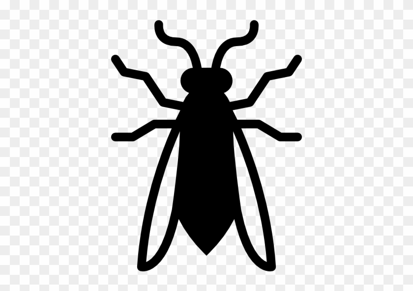 Wasp Free Icon - Bee #924864