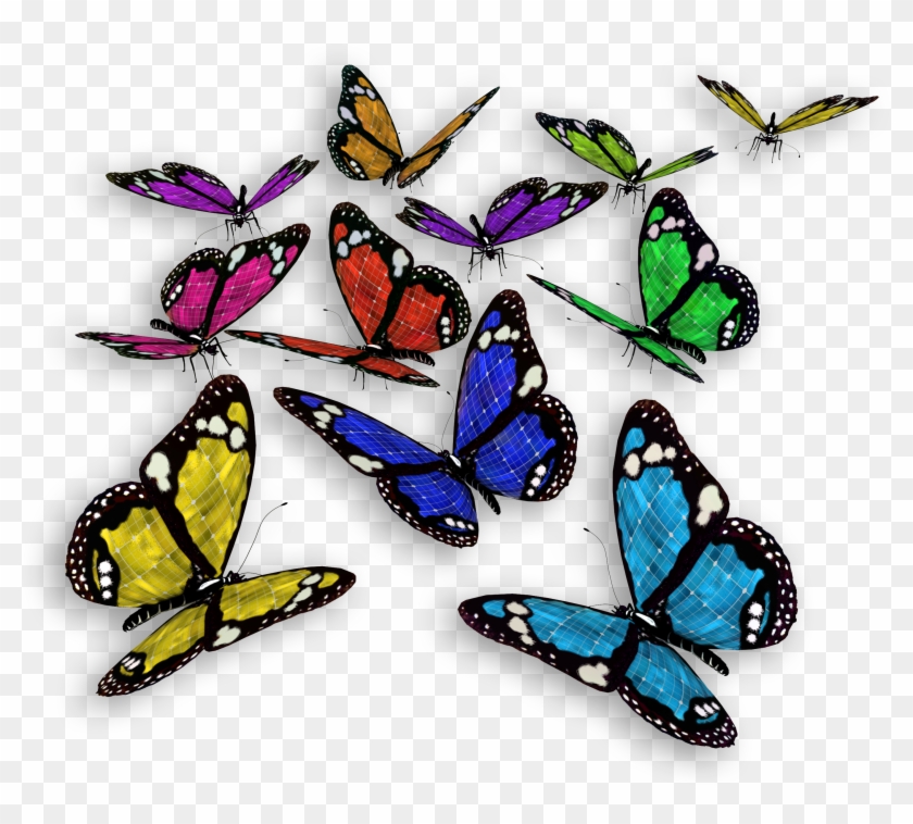 Butterfly Color Cethosia Cyane - Flying Butterflies #925177