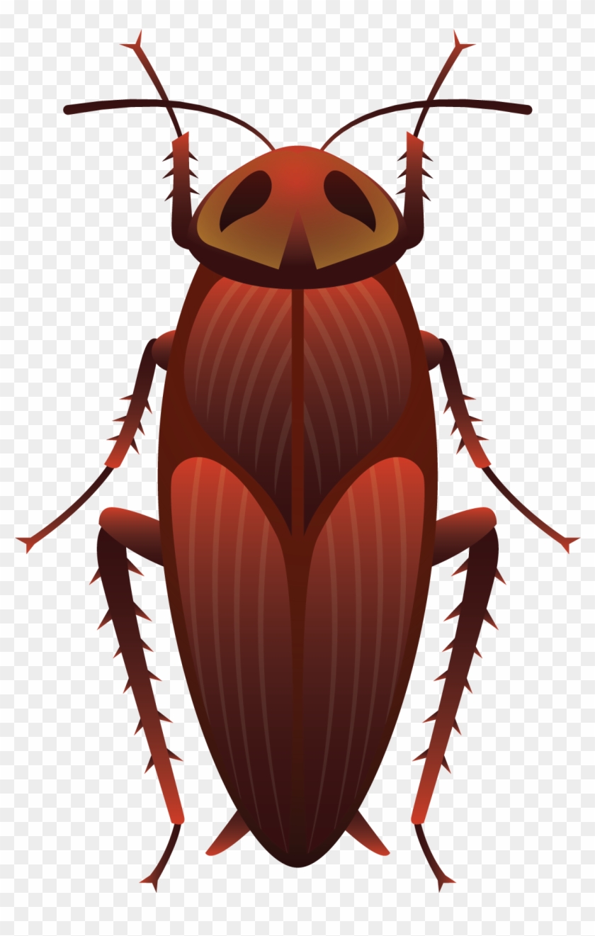Insect Wing Cockroach Bee Butterfly - 蟑螂 Q 版 素材 #925570