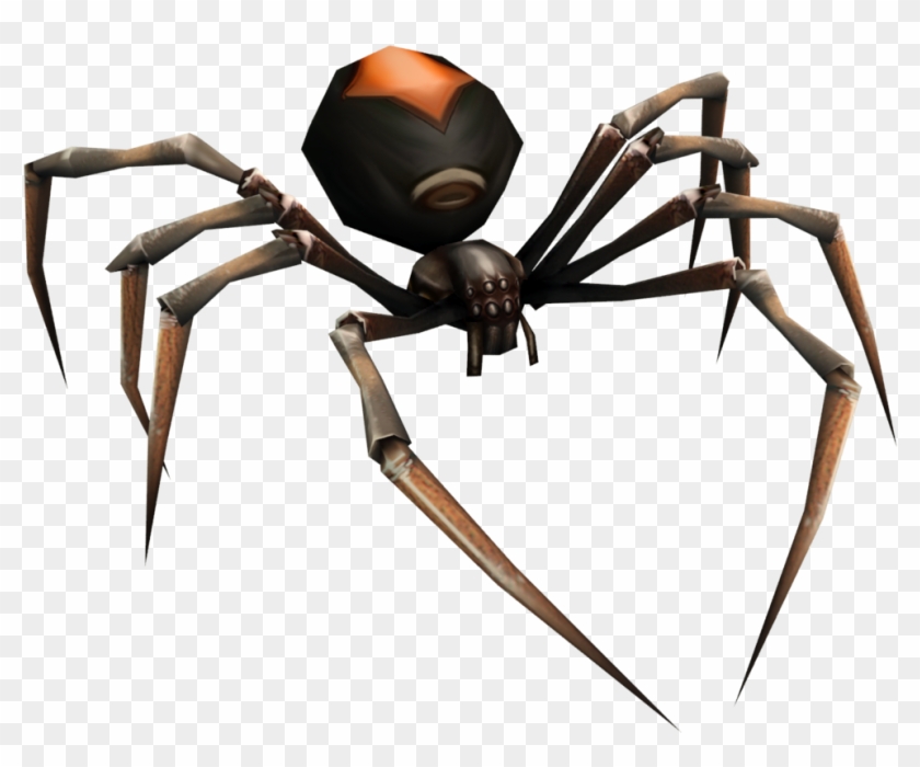 Spider Chelyabinsk Southern Black Widow Insect Acari - Spider #925609