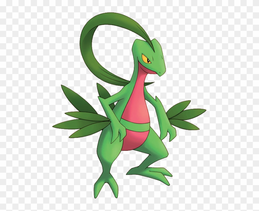 Important Notice Pokemon Grovyle Is A Fictional Character - Pokemon Mystery Dungeon Grovyle #925915