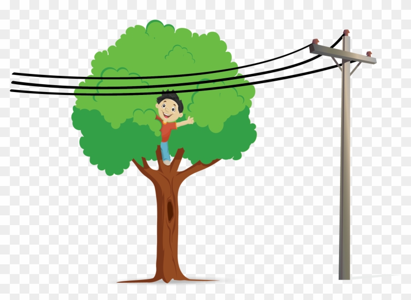 Identify The Dangerous Electrical Situation And Explain - Arboles Coloreados #926086