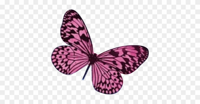 Pink Butterfly - Butterfly Congratulations On Engagement Travel Accessory #926144