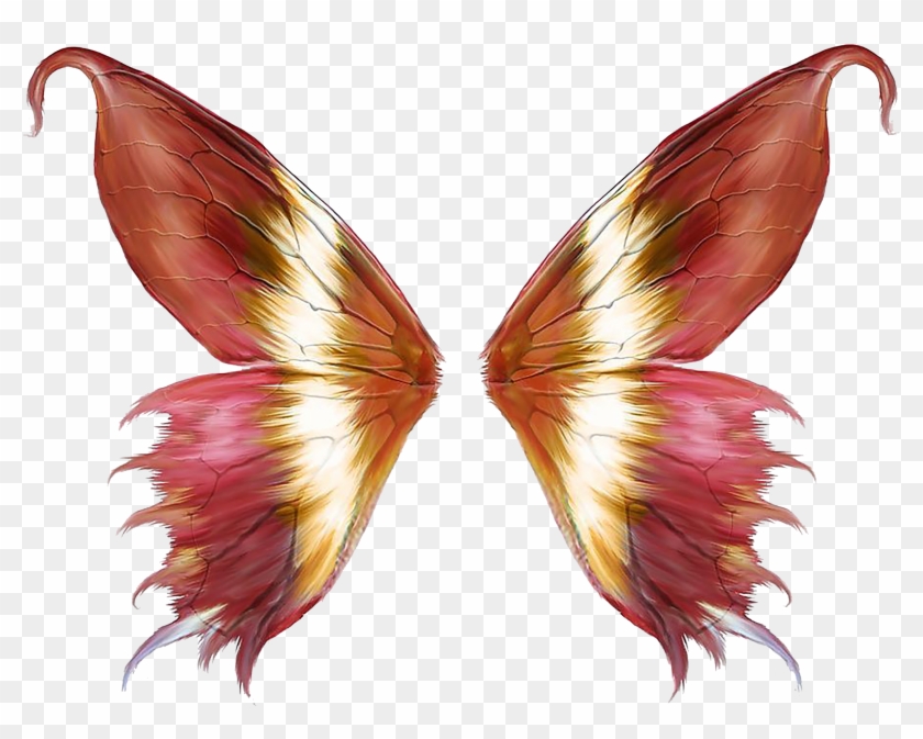 Pink Butterfly Wings - Fairy Wings #926228