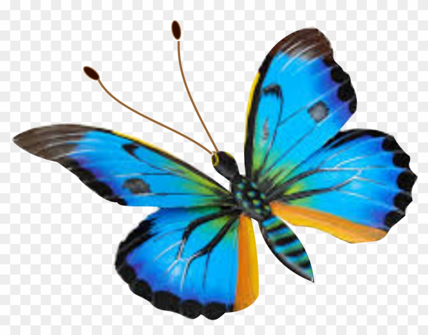 Mariposa 8 - Mariposa 8 #926243