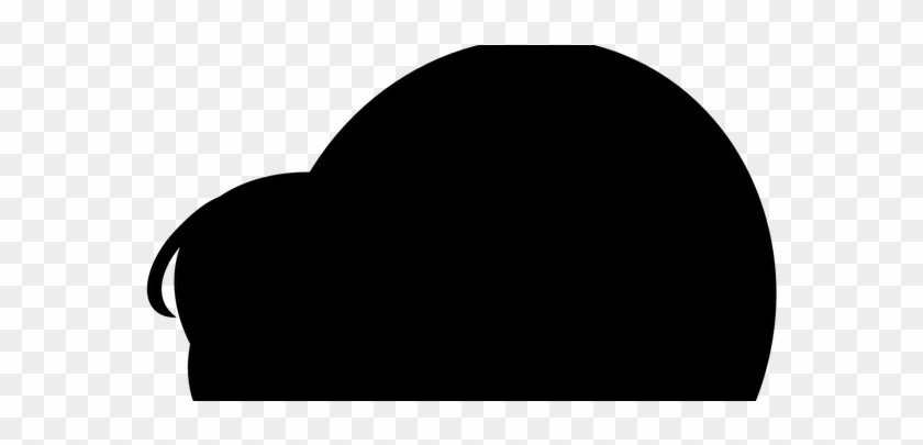 Silhouette #926319