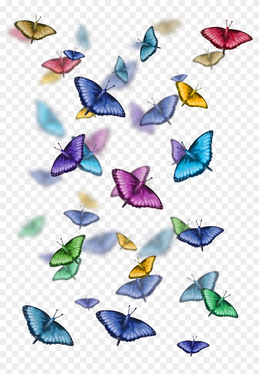   Flying Butterflies Clip Art #926401