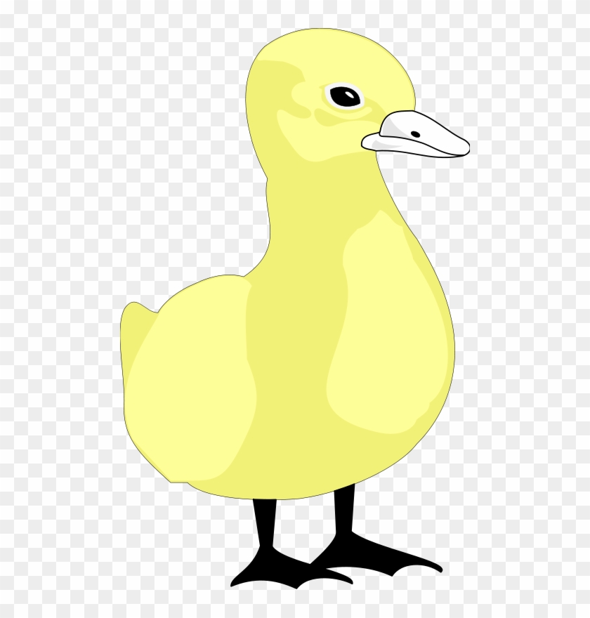 Cartoon Bird 10 Free Vector - Cartoon #926499