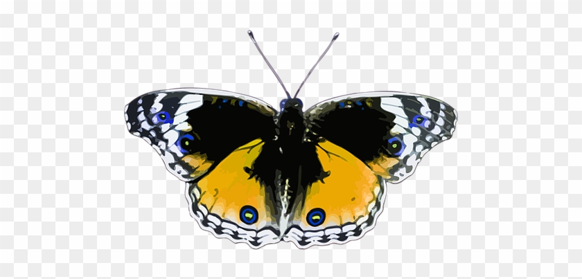 Free Image On Pixabay - Butterflies And Bullets By Trisha Sugarek 9781450591942 #926609