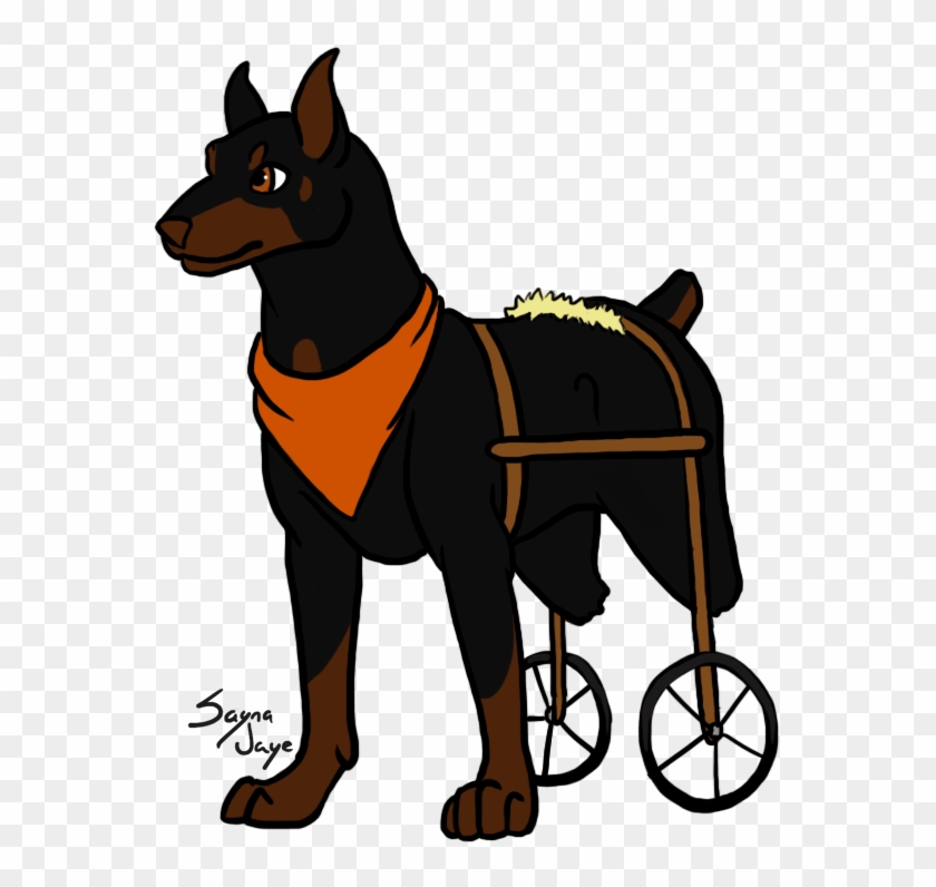 Here Is Rocksha - Dobermann #926809