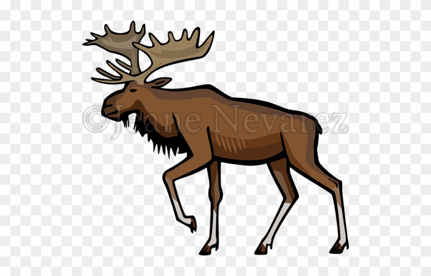 Bull Moose - Cartoon #926889