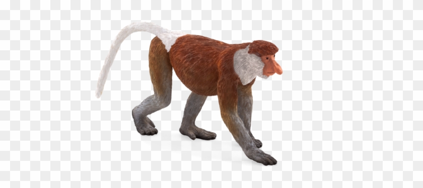 Wildlife - Mojo Fun - Wildlife Mojo Fun 387176 Proboscis Monkey #927585