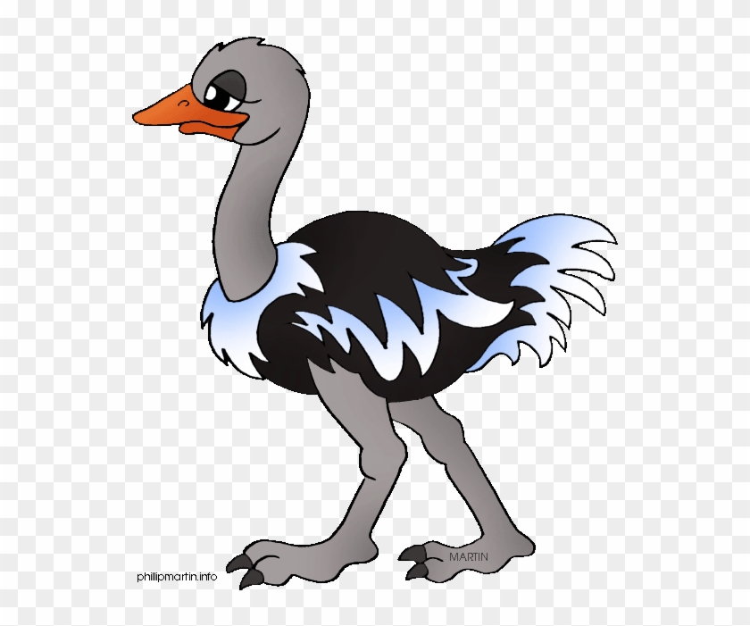 Ostrich Clipart - Cartoon Image Of Ostrich #927589