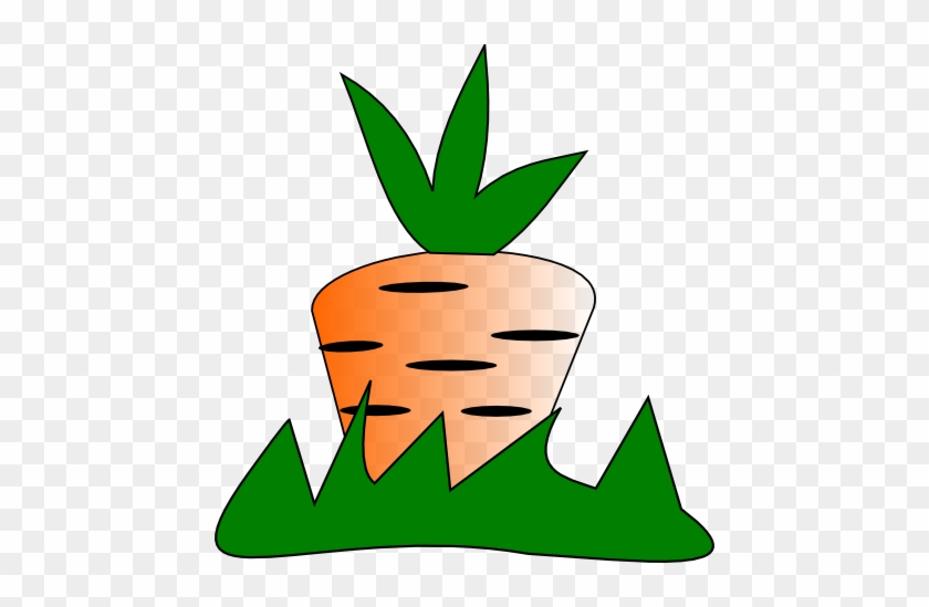 Carrot Patch - Carrot Patch #929595
