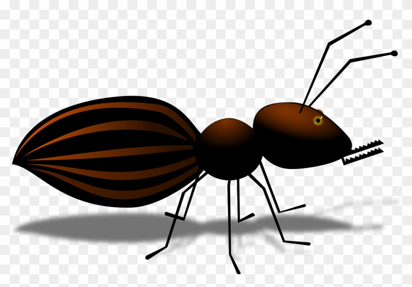 Big Image - Муравей Png #929771