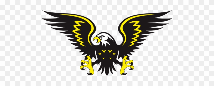 Gambar Animasi Burung Elang #929928