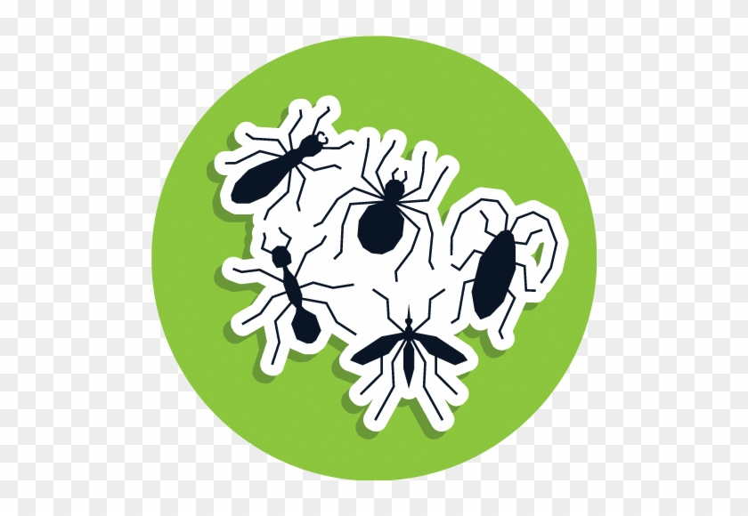 Mosquitos - Pest #932232