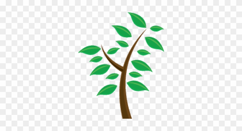 The Webscaper - The Webscaper, Llc #932452