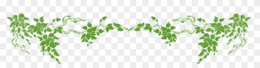 Horizontal Vine Png - Fairy Vines #932865