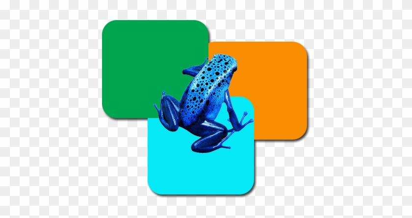 Phyllobates #933683