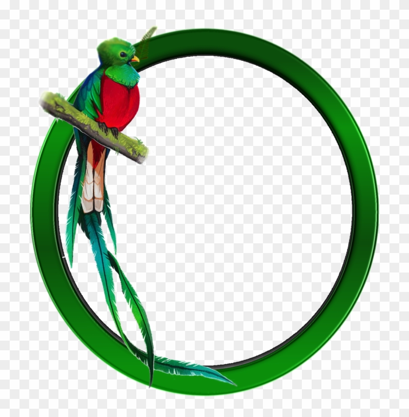 Guatemalan Quetzal Bird Resplendent Quetzal - Quetzal Png #933834