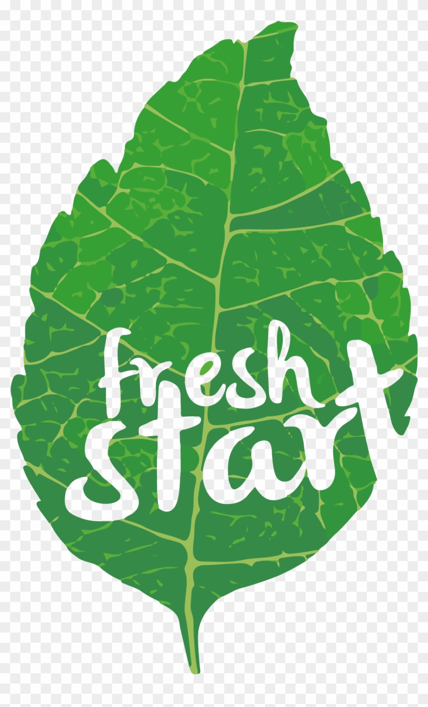 Lettuce Clip Art #934098