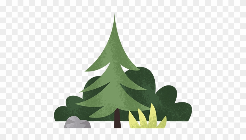 Trees - Tree #934122