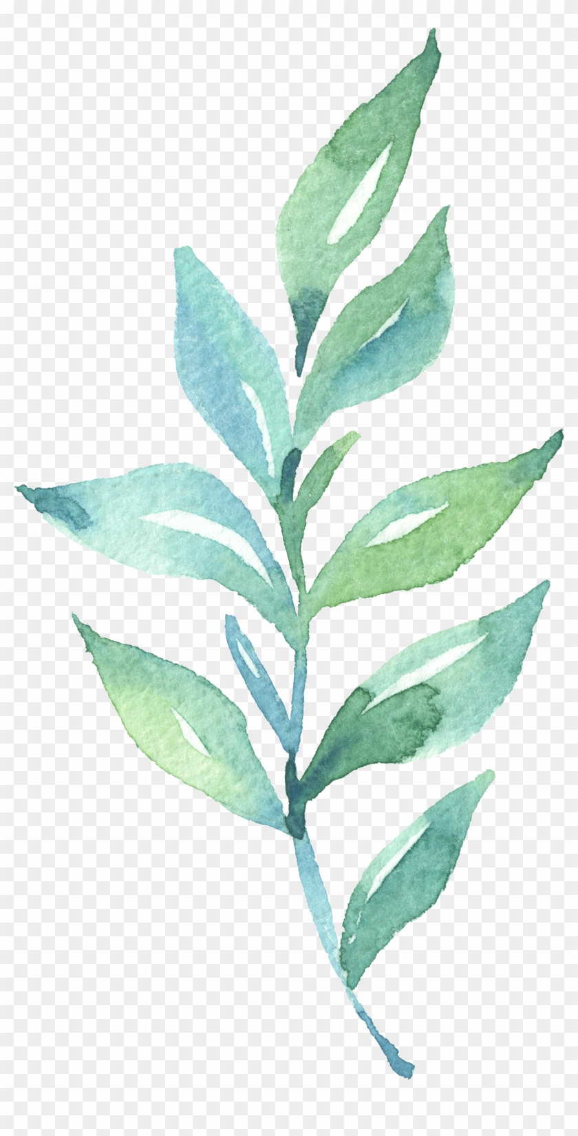 Leaf Watercolor Painting - Leaf Watercolor Painting #934171