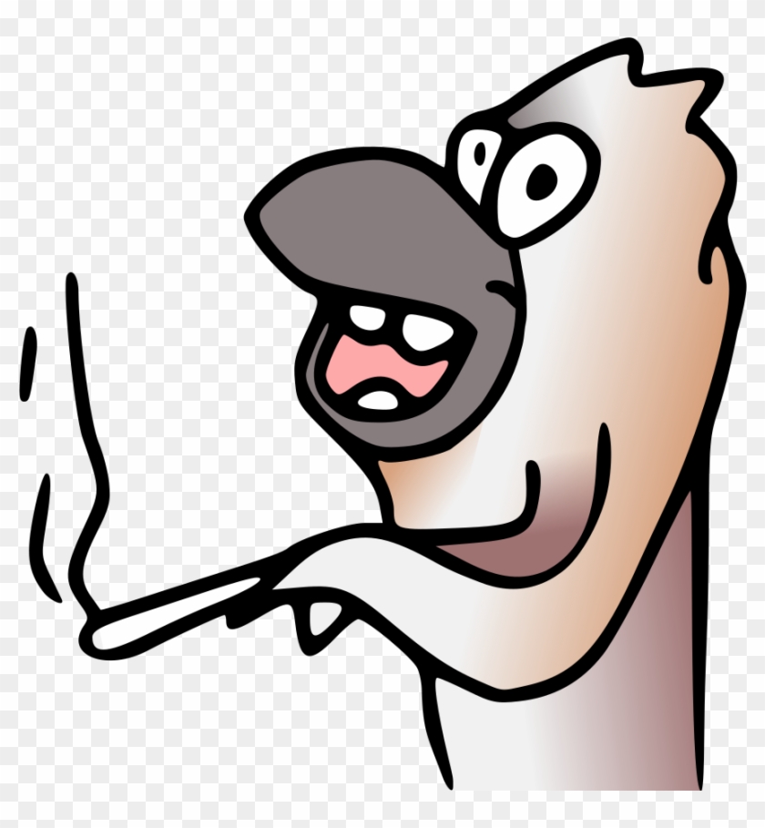 Smoking Kookaburra - Smoking Kookaburra #934522