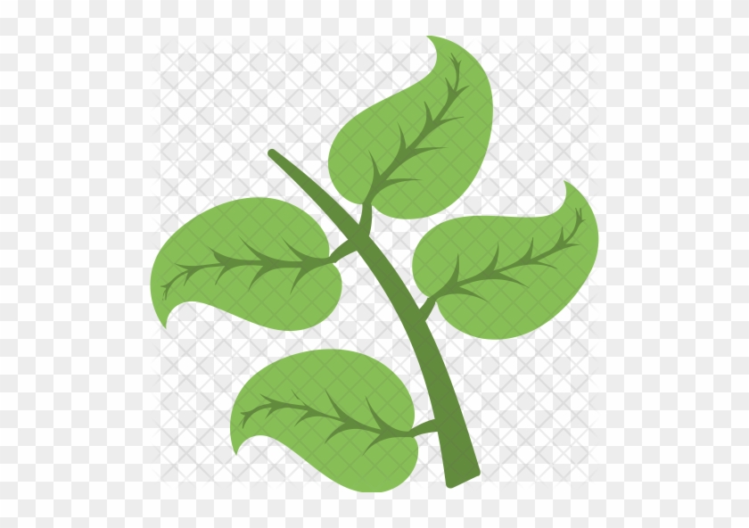 Leaf Icon - Leaf #934586