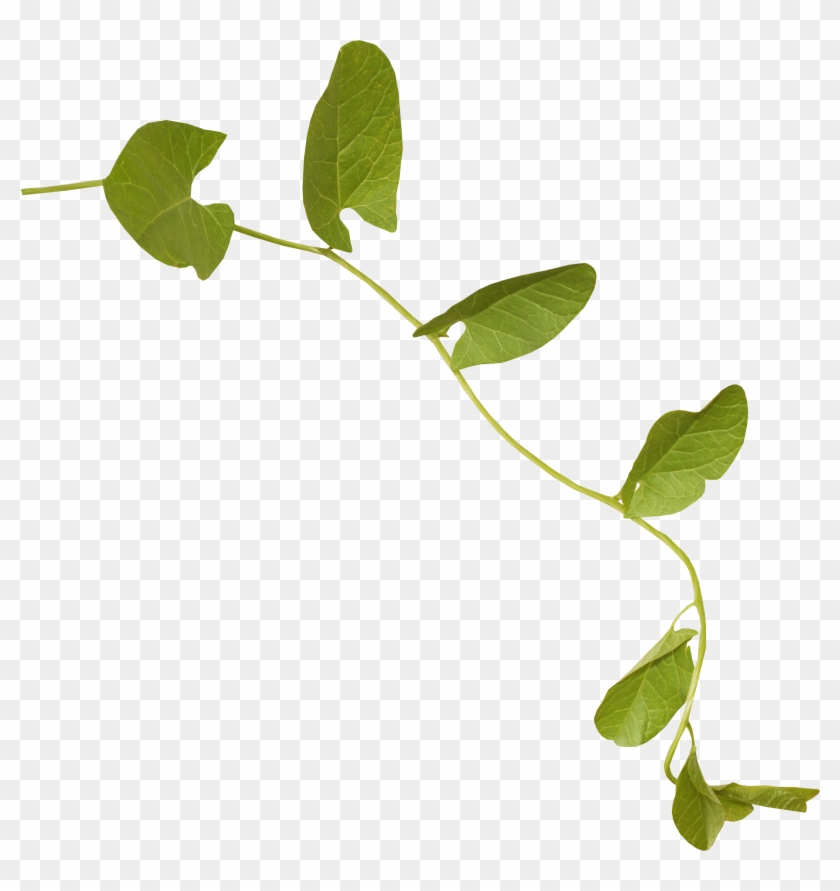 Ем - Clip Art #934625