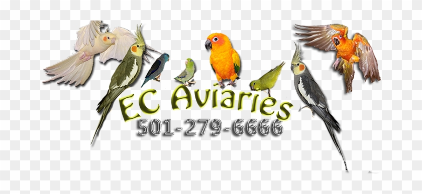 Logo - Logo #935065