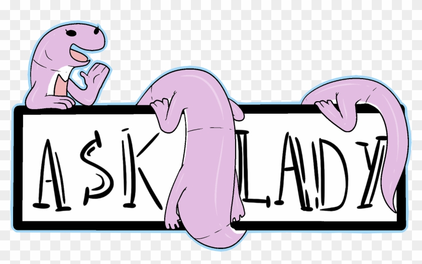 Lizard #935371