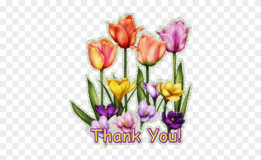 Thank You Animation Images Free Download - Thank You Image For Animation #935799