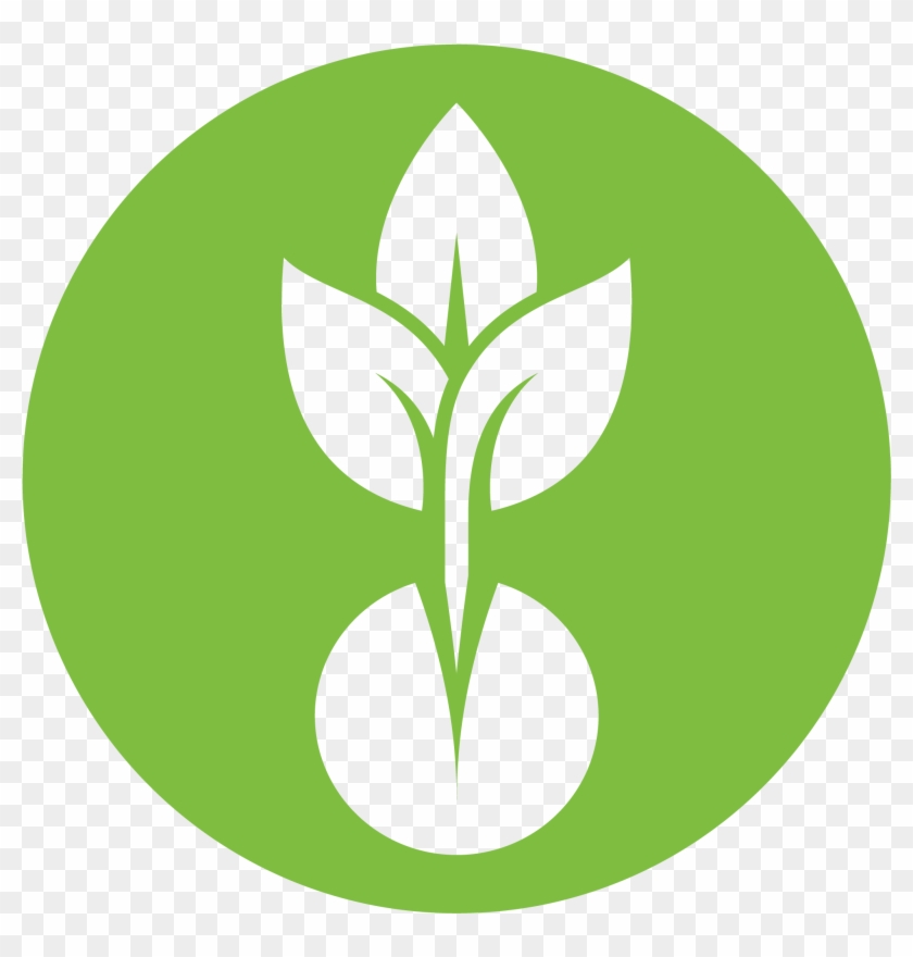 Ever-changing Seasonal Menus - Green Seed Market #936078