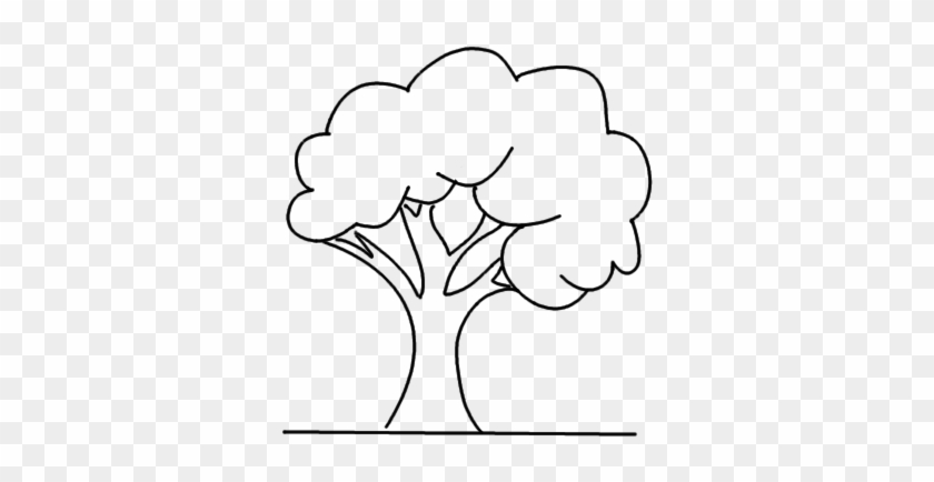 How To Draw A Simple Tree - Drawing #936968