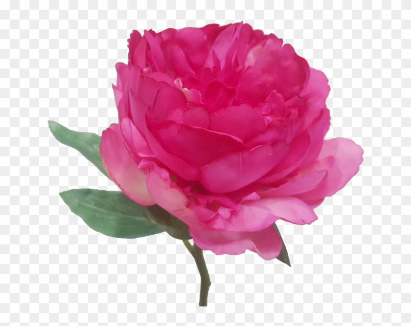 Short Stem Artificial Beauty Peony - House #938525