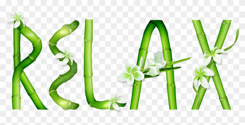 Bamboo Zen & Spa - Transparent Png Mervelleux #938530