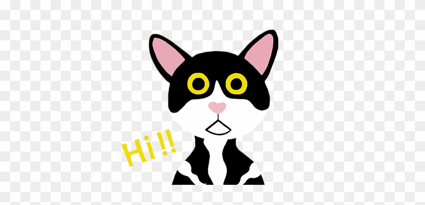 Meows & Paws - Domestic Short-haired Cat #939008