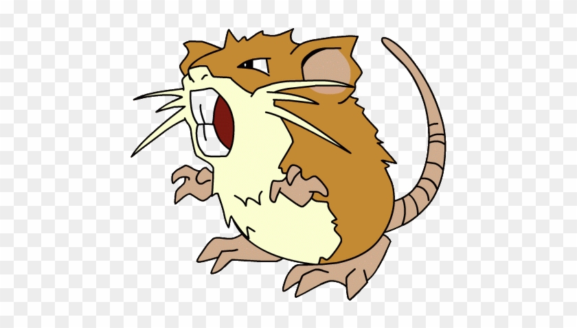 Rattata Raticate - Pokemon Raticate #939442